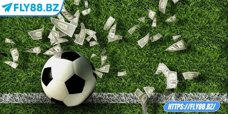 Cách đọc kèo bóng đá tài xỉu chi tiết, hiệu quả tại Fly88 3 Phân tích xu hướng thị trường để dễ dàng nắm bắt