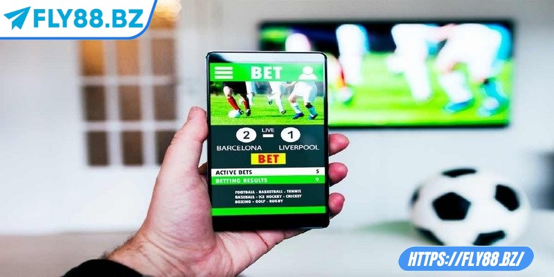 Cách ra kèo của nhà cái – Bí mật sau tỷ lệ cược chuẩn xác 2 Sân bãi và điều kiện thi đấu ảnh hưởng trực tiếp đến kèo