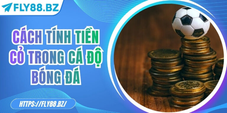 Cách tính tiền cỏ trong cá độ bóng đá chi tiết tại Fly88 3 Cách tính tiền cỏ trong cá độ bóng đá chi tiết tại Fly88