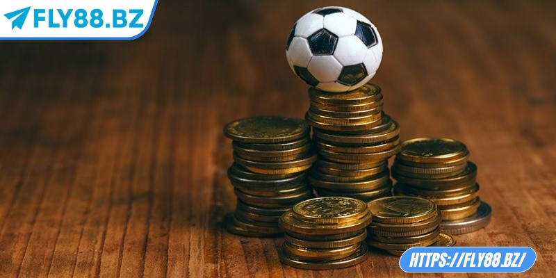 Cách tính tiền cỏ trong cá độ bóng đá chi tiết tại Fly88 2 Tiền cỏ giúp nhà cái giảm thiểu rủi ro từ các cửa cược quá an toàn